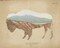 American Southwest Buffalo Distressed Poster Print by Wild Apple Portfolio - Item # VARPDX38817
